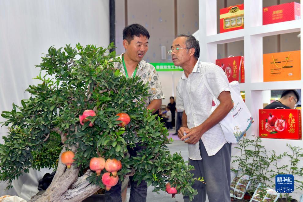 博狗游戏开户